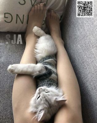 我的秘密泰剧