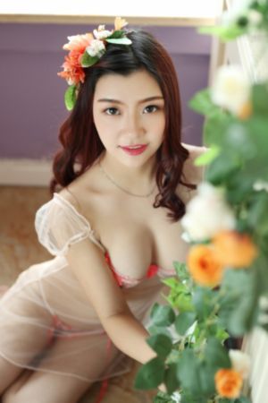 云之羽电视剧全集在线观看