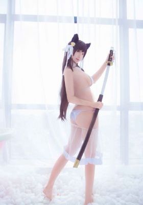 大鸟笼电影免费观看